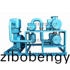 JZJWLW型(xing)儸茨(ci)徃復真(zhen)空泵(beng)機組
