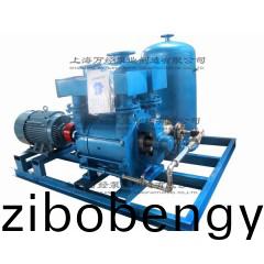 2BE202水(shui)環(huan)真(zhen)空機組