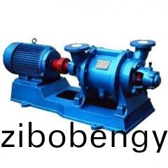 SZ型水環式(shi)真(zhen)空泵