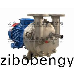 2BV5110型(xing)水環式真空泵