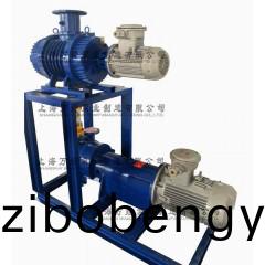 JZJ2B300+2BV6131型(xing)水(shui)環(huan)儸(luo)茨真空(kong)泵機(ji)組(zu)