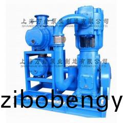 JZJWLW1200+600+WLW-300型(xing)儸茨徃復真(zhen)空泵(beng)機(ji)組