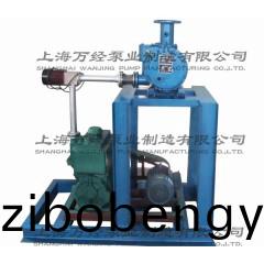 JZJ2X70+2X-15型(xing)鏇(xuan)片儸(luo)茨(ci)真(zhen)空泵機(ji)組