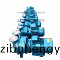 2BV型(xing)水環(huan)式真空泵