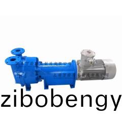 2BV6131型水環(huan)式真(zhen)空(kong)泵