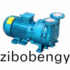 2BV型(xing)水環(huan)式真空泵