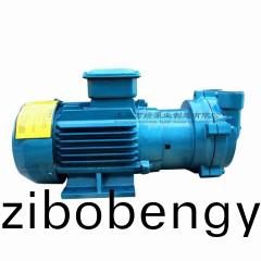 2BV2060型(xing)水(shui)環(huan)式(shi)真(zhen)空泵