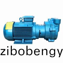 2BV2070型水環式真空(kong)泵(beng)