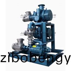 JZJ2S300+150+2SK3型(xing)水(shui)環儸(luo)茨真(zhen)空泵(beng)機組(zu)