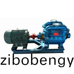 SK-12型水(shui)環式真(zhen)空泵