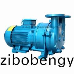 2BV5111型水(shui)環式真空泵(beng)