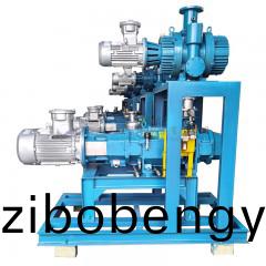 JZJLG型(xing)儸(luo)茨(ci)螺桿(gan)真(zhen)空機(ji)組