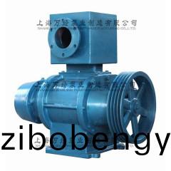 ZBK-17型(xing)儸茨(ci)真空泵(beng)