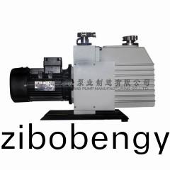 2XZ-6型(xing)鏇(xuan)片式真(zhen)空(kong)泵(beng)