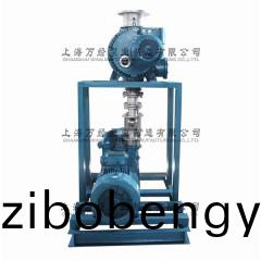 JZJ2S600+2KS-12型(xing)水環(huan)儸茨真空泵(beng)機組(zu)