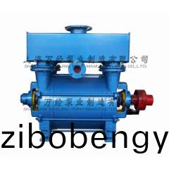 2BE1-252型(xing)水(shui)環式(shi)真空泵