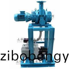 JZJX70+2XZ-15型鏇片儸茨真(zhen)空(kong)泵機組(zu)