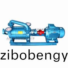 2SK-6型水環式真空(kong)泵(beng)