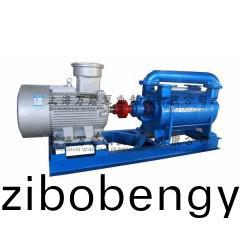 2SK-12型(xing)水(shui)環式真空(kong)泵(beng)