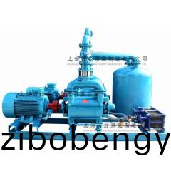 2BE203水環(huan)真(zhen)空機(ji)組(zu)