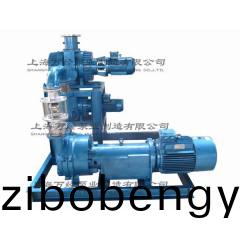 JZJ2B300+150+6131型(xing)水環(huan)儸茨真(zhen)空(kong)泵(beng)機組(zu)