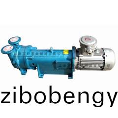 2BV6121型(xing)水(shui)環(huan)式(shi)真空(kong)泵