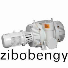 ZJP型儸(luo)茨(ci)真(zhen)空泵(beng)