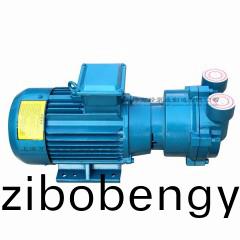 2BV2071型(xing)水(shui)環(huan)式(shi)真(zhen)空(kong)泵(beng)