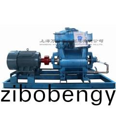 2BE202水(shui)環真(zhen)空機(ji)組(zu)