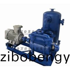 SK型(xing)水環(huan)真(zhen)空機組