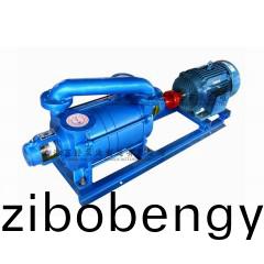 2SK-6型(xing)水環式真空泵