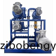 JZJ2B600+300+150+2BV6131型(xing)水(shui)環儸茨真空(kong)泵機組