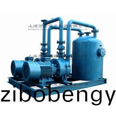 2BV5161水環(huan)真(zhen)空機組(zu)