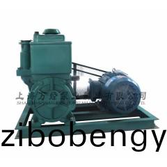 2X-15型(xing)鏇片(pian)式(shi)真空泵