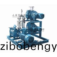 JZJ2S600+300+2KS-12型(xing)水環儸(luo)茨(ci)真空泵(beng)機組