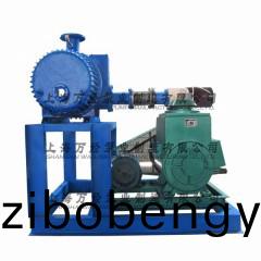 JZJ2X型鏇(xuan)片(pian)儸茨真空泵(beng)機(ji)組