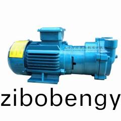 2BV2061型水(shui)環式(shi)真空泵