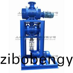 JZJ2B300+150+2BV5121型水(shui)環(huan)儸(luo)茨真空(kong)泵機組