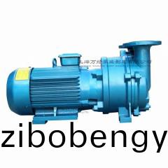 2BV5121型(xing)水(shui)環(huan)式真空泵