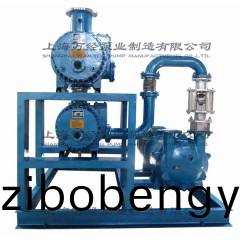 JZJ2B600+300+6131型水環(huan)儸(luo)茨真空(kong)泵機(ji)組(zu)