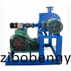 JZJ2X型鏇片(pian)儸茨(ci)真(zhen)空泵機組(zu)