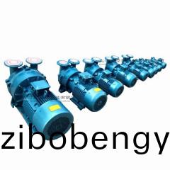 2BV型水環式真(zhen)空(kong)泵(beng)