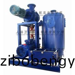 JZJ2B150+2BV5121型(xing)水環儸茨(ci)真(zhen)空泵(beng)機(ji)組