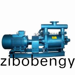 2BE1-153型(xing)水(shui)環式真空(kong)泵