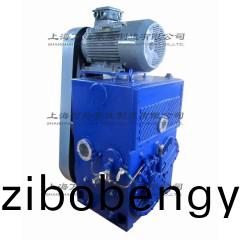 2H滑閥式真(zhen)空泵(beng)