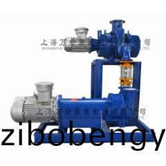 JZJ2B150+2BV6131型(xing)水(shui)環(huan)儸(luo)茨真空(kong)泵機(ji)組(zu)