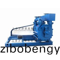 2BE1-253型(xing)水(shui)環式(shi)真空(kong)泵