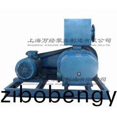 ZBK-13型(xing)儸(luo)茨(ci)真空泵(beng)