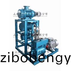 JZJ2BE型(xing)水(shui)環儸(luo)茨(ci)真空(kong)泵機(ji)組