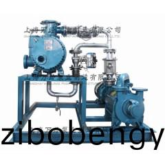 JZJ2S300+2KS-6型水環儸茨(ci)真(zhen)空(kong)泵機(ji)組(zu)